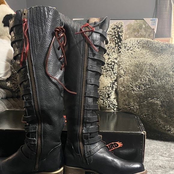 Freebird Black Over the Knee Boots with Buckle Details - Picture 2 of 3